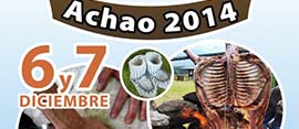 fiesta del cordero achao 2014