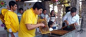fiesta de la miel en santa juana