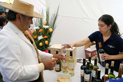 fiesta de la vendimia de peralillo 2015 identidadyfuturo.cl