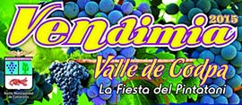 vendimia valle de codpa