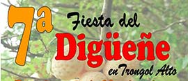 7ª Fiesta del Digüeñe en Trongol Alto, Curanilahue