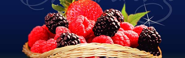 Berries Chimbarongo