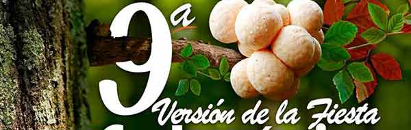 fiesta gastronomica del digueñe cunco