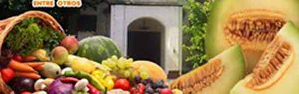fiesta del melon y la chacra 2016 en quinta de tilcoco