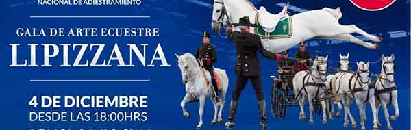 Gala de Arte Ecuestre Lipizzana en Santiago