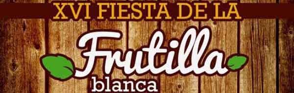Fiesta de la Frutilla Blanca en Contulmo