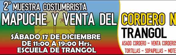 Muestra Costumbrista Mapuche y Venta del Cordero Navideño, Trangol, Victoria