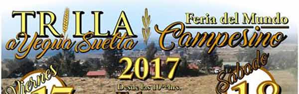 “Trilla a Yegua Suelta” y “Feria del Mundo Campesino” en Pelluhue