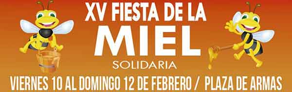 XV Fiesta de la Miel en Santa Juana
