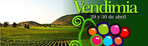 Fiesta de la Vendimia de Pichidegua