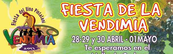 Fiesta de la Vendimia del Valle de Codpa 2017