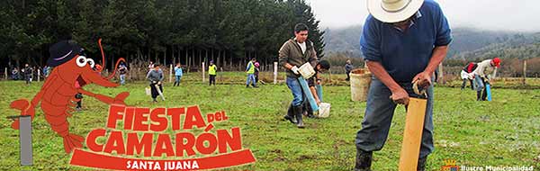 XIV Fiesta del Camarón en Santa Juana
