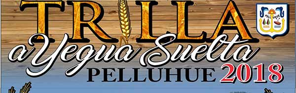 Trilla a Yegua Suelta en Pelluhue