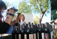 XI FIESTA DE LA VENDIMIA PICHIDEGUA 2018