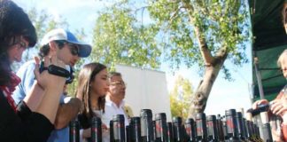 XI FIESTA DE LA VENDIMIA PICHIDEGUA 2018