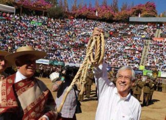 sebastian piñera defiende el rodeo y las tradiciones en el champion de chile