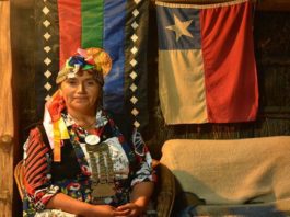 Etnoturismo y turismo rural en Chile: un viaje a las raíces