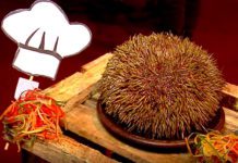 Festival Gastronómico del Erizo en Quellón, Chiloé
