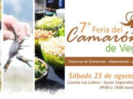 fiesta del camaron en nueva imperial