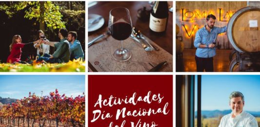 dia nacional del vino en el valle de casablanca 2018