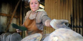 Fiesta de la Tortilla y la Longaniza en Coelemu