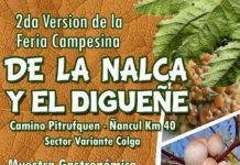 2ª Fiesta de la Nalca y el Digüeñe en Pitrufquén