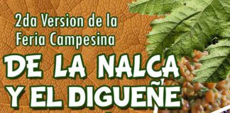 2ª Fiesta de la Nalca y el Digüeñe en Pitrufquén
