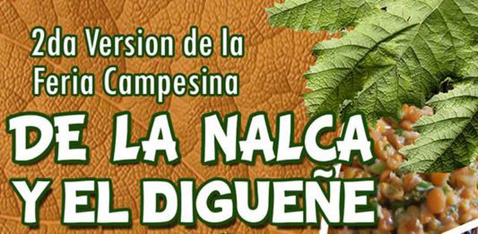 2ª Fiesta de la Nalca y el Digüeñe en Pitrufquén