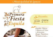 fiesta de la esquila en Lumaco