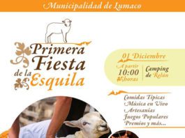 fiesta de la esquila en Lumaco