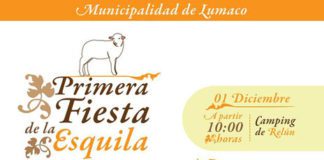 fiesta de la esquila en Lumaco