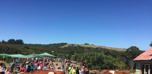 calendario de fiestas costumbristas de ancud 2019