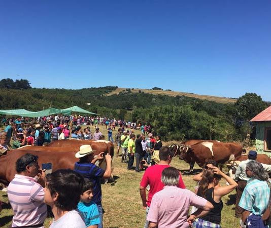 calendario de fiestas costumbristas de ancud 2019
