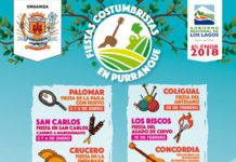 Calendario de Fiestas Costumbristas de Purranque 2019