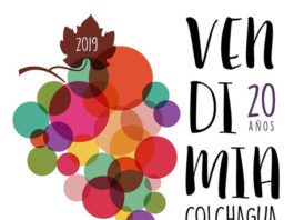 vendimia de santa cruz colchagua 2019