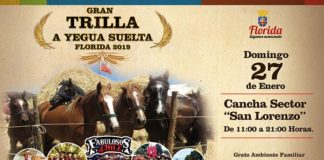 Trilla a Yegua Suelta Florida 2019