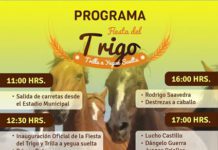Trilla a yegua Suelta en Yungay, Fiesta del Trigo