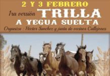 1ª Trilla a Yegua Suelta en Callejones, Nancagua