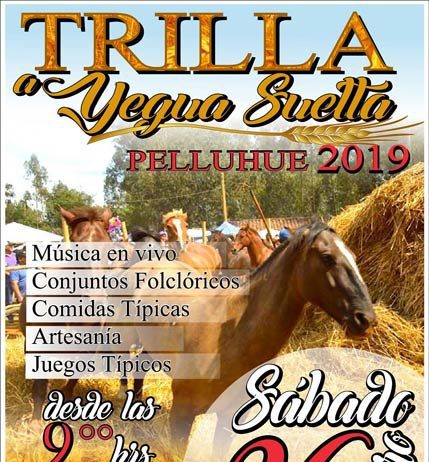 trilla a yegua suelta en pelluhue 2019
