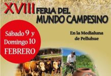 XVIII Feria del Mundo Campesino en Pelluhue