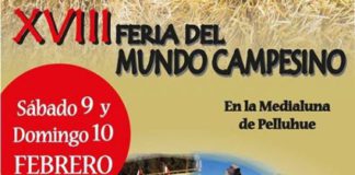 XVIII Feria del Mundo Campesino en Pelluhue