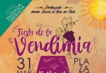 Fiesta de la Vendimia en Portezuelo 2019