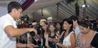 Fiesta de la Vendimia de Isla de Maipo, la que se realizará los días 6 y 7 de abril de 2019.