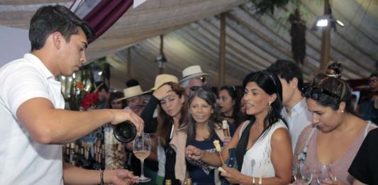 Fiesta de la Vendimia de Isla de Maipo, la que se realizará los días 6 y 7 de abril de 2019.