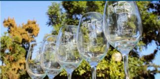 Fiesta de la Vendimia de Rengo 2019