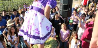La Fiesta de la Vendimia del Valle de Aconcagua se realizará en Panquehue el sábado 06 de abril.