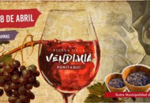 Fiesta de la Vendimia de Punitaqui 2019