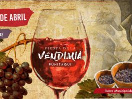 Fiesta de la Vendimia de Punitaqui 2019