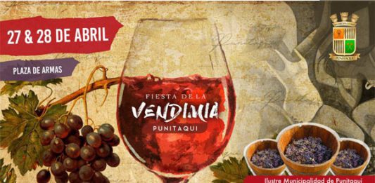 Fiesta de la Vendimia de Punitaqui 2019