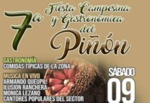 Fiesta Campesina y Gastronómica del Piñón en Angol